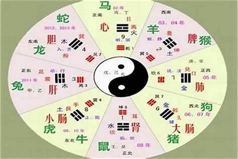 紹五行|绍字的五行属性